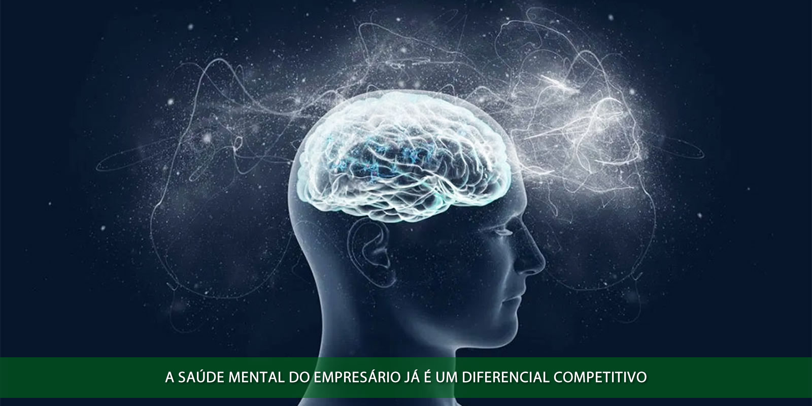 Figura 2 - SAÚDE MENTAL DO EMPRESÁRIO. SUPERANDO DESAFIOS EM MEIO À BATALHA COTIDIANA